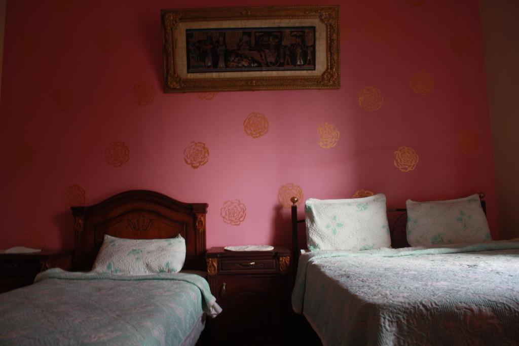 Hola Cairo Hostel Bilik gambar