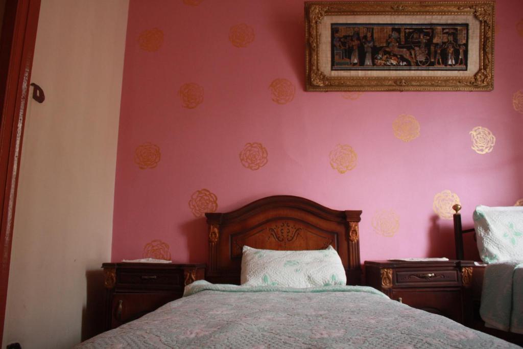 Hola Cairo Hostel Bilik gambar