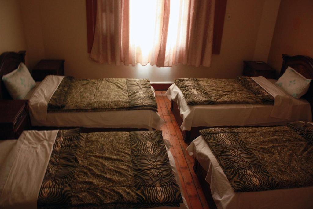 Hola Cairo Hostel Luaran gambar